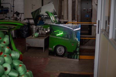 test bulk
